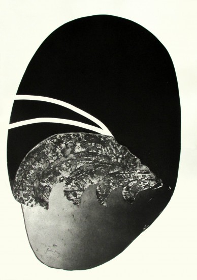 Naturelat IX | akwatinta, tech. własna | 66x96cm